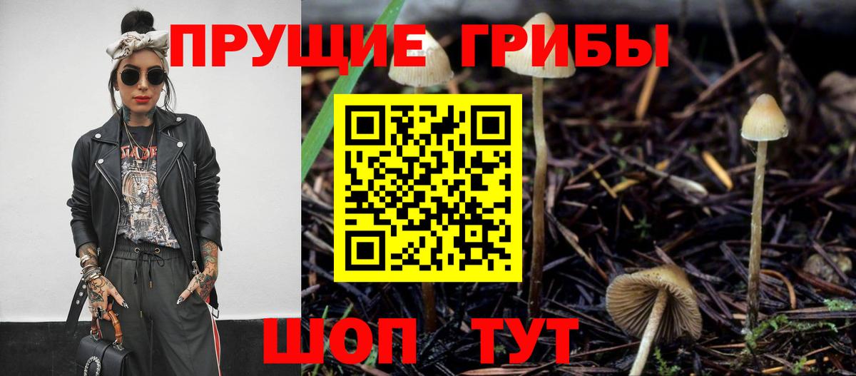 закладка  Псилоцибиновые грибы Psilocybe  Вход с VPN  Лесной 