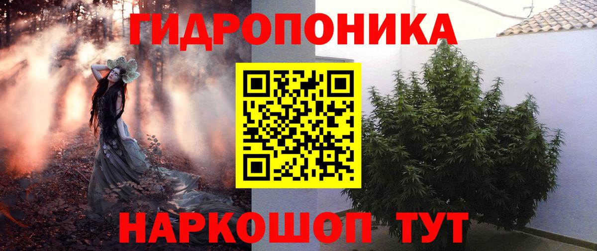 Лесной  Конопля Ganja  Бошки Шишки MAZAR  Каннабис White Widow  Вход с VPN  Бошки марихуана план 